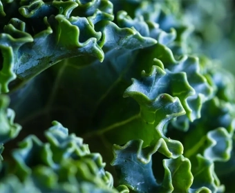 plant-based-calcium-sources-category.webp