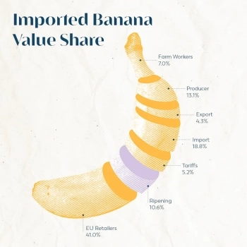 Important Banana Value Share