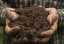 regenerative-agriculture-ask-expert-thumb.webp