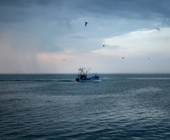 Managing Our Oceans: A Small-Scale Approach