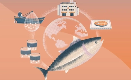 sustainable-seafood-MOOC-header.webp
