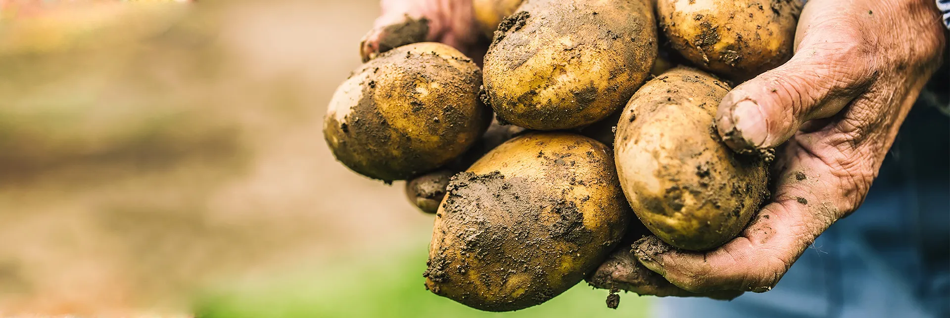 ¿Qué significa realmente ecológico?
